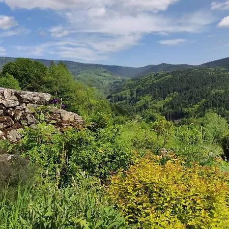 Superbe Gite Laugy Dans Les Montagnes D'ambert